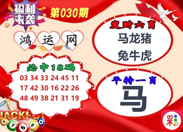 030期鸿运网[图]