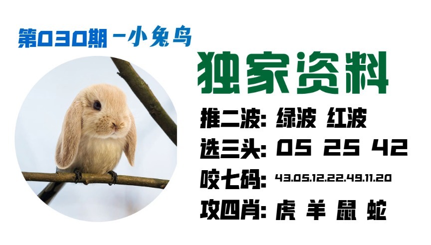 030期小兔鸟[图]