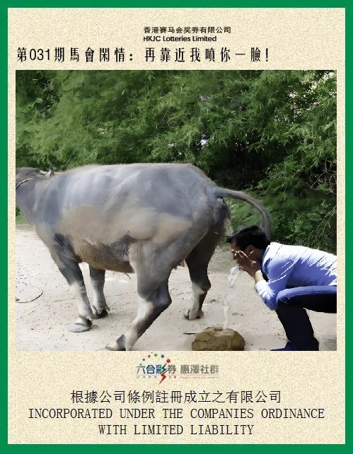 031期马会闲情[图]